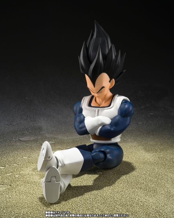 S.H. Figuarts Vegeta -Old Battle Clothes- - Image 4