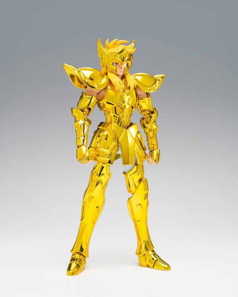 SCMEX Aquarius Hyoga Inheritor Of The Gold Cloth - Image 3